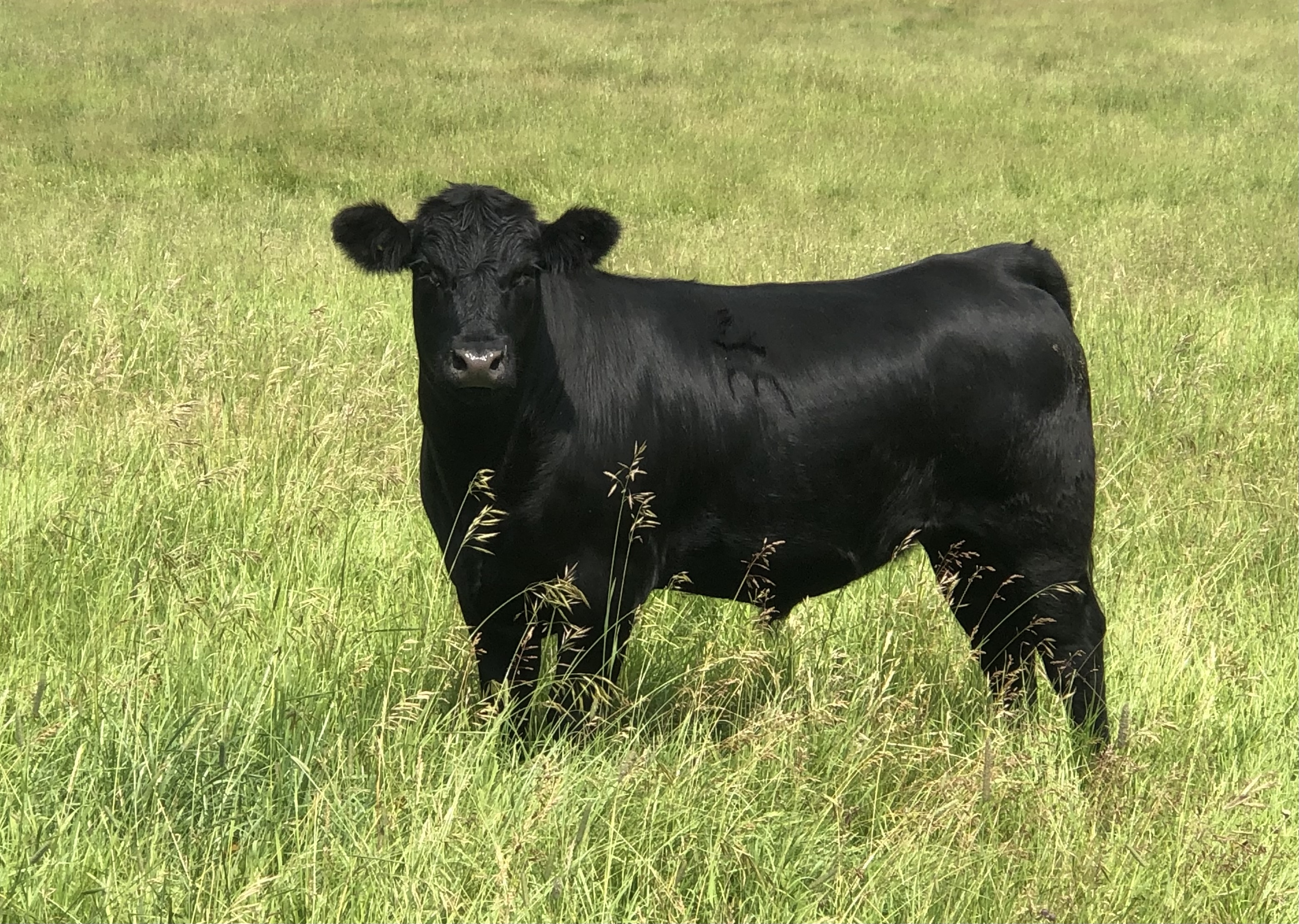 one of our boys, we think he's cute